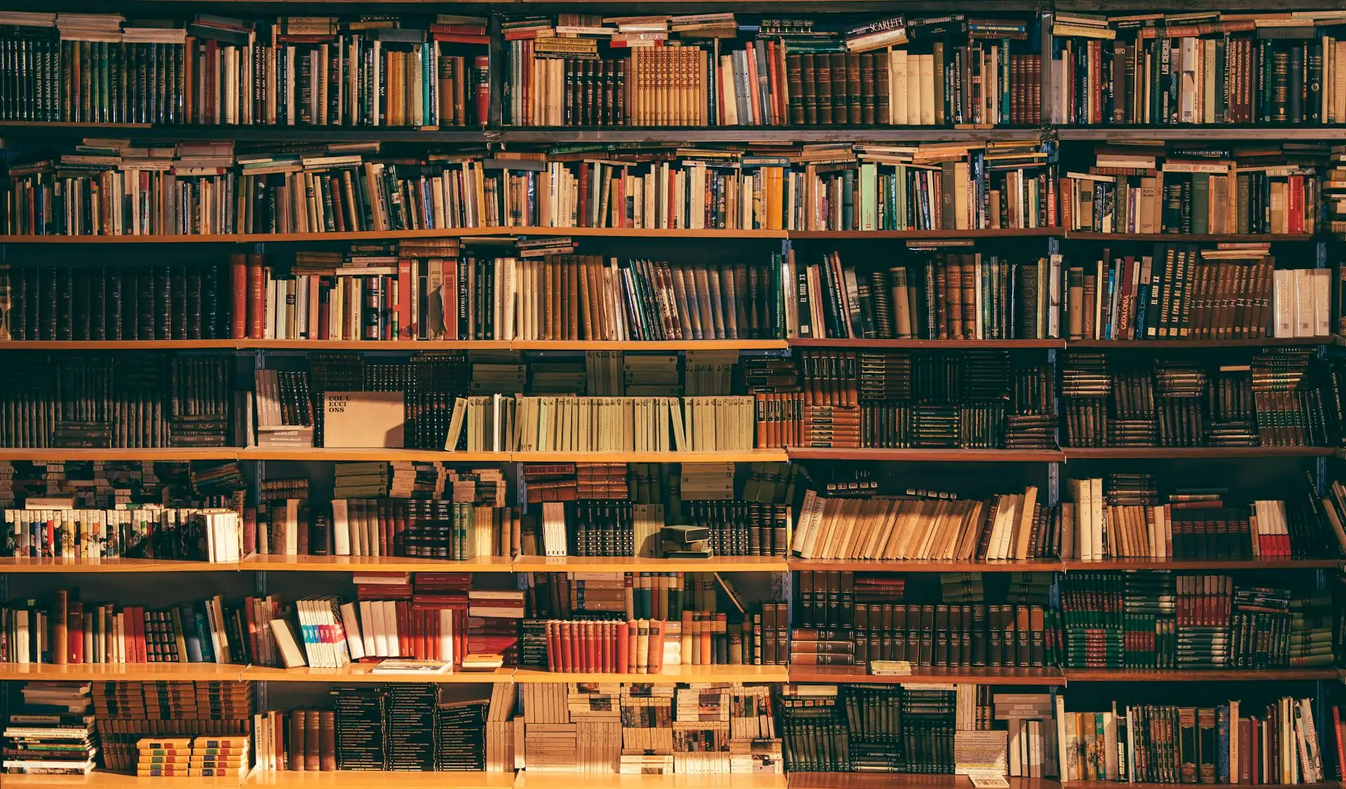 Legal library with books