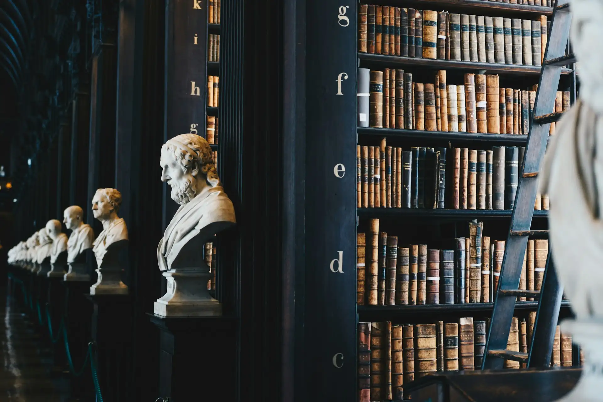 Classic law library with leather-bound books
